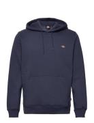 Oakport Hoodie Navy Dickies