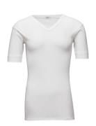Jbs T-Shirt V-Neck Original White JBS