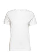 Slfmyessential Ss O-Neck Tee Noos White Selected Femme