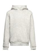 Lars Kids "It's Organic" Hoodie Grey Kronstadt