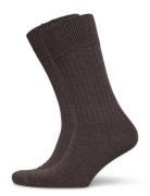 Pe 2Pk Calle Premium Mercerized Wool Rib Brown Panos Emporio