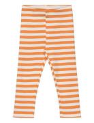 Sgissey Yd Striped Leggings Acorn Orange Soft Gallery