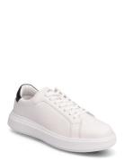 Low Top Lace Up Lth White Calvin Klein