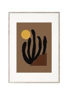 Canyon - 50X70 Patterned Paper Collective