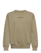 Kids Boys Sweatshirts Khaki Abercrombie & Fitch