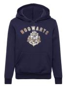 Sweat Kangourou Navy Harry Potter