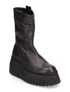 Pointer Bootie Black Steve Madden