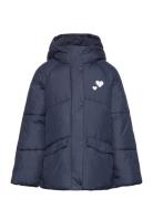 Puffer Winter Jacket Navy Tom Tailor