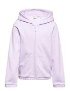 Elastic Sweat Jacket Purple Tom Tailor