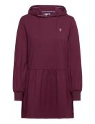 Uspa Dress Botilla Women Burgundy U.S. Polo Assn.