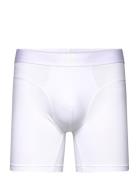 Shorts White Adidas Underwear