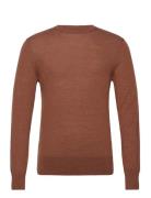 Mode Merino Crew Brown AllSaints