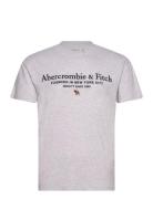 Anf Mens Graphics Grey Abercrombie & Fitch