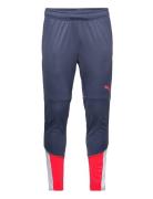 Individualcup Training Pants Blue PUMA