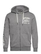 Athletic Coll Graphic Ziphood Grey Superdry