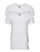 Bhdinton V-Neck Tee 2-Pack White Blend