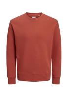 Jjestar Basic Sweat Crew Neck Noos Red Jack & J S