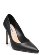 Evelyn-E Pump Black Steve Madden