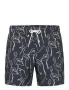 Hco. Guys Swim Black Hollister