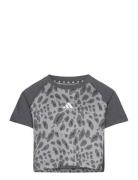 Jg Aop Tee Grey Adidas Performance