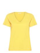 Crnaia Deep V-Neck T-Shirt Yellow Cream