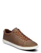 Finespec Brown ALDO