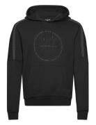 Sweatshirts Black EA7