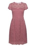 Vikalila Capsleeve Lace Dress - Noos Pink Vila