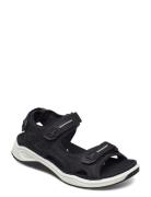 X-Trinsic K Black ECCO