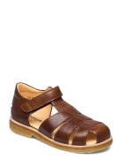 Sandals - Flat - Closed Toe Brown ANGULUS