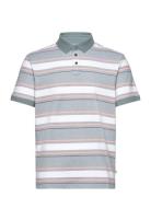 Striped Polo Blue Tom Tailor