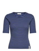 Esblossom Stripe 2/4 T-Shirt - Gots Navy Esme Studios