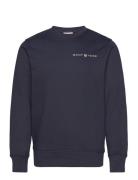 Printed Graphic C-Neck Sweat Blue GANT