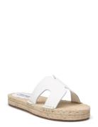 Cheer Up Sandal White Steve Madden