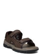 Mens Relaxed Fit: Tresmen Garo Brown Skechers