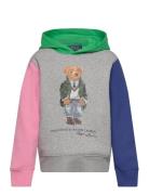 Polo Bear Color-Blocked Fleece Hoodie Patterned Ralph Lauren Kids