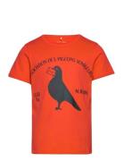 Pigeons Sp Ss Tee Orange Mini Rodini