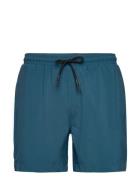 Akshark Swimshorts Blue Anerkjendt