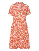 Edasz Ss Dress Orange Saint Tropez