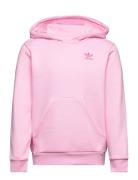 Hoodie Pink Adidas Originals