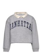 Cropped Polo Sweat Grey Tom Tailor