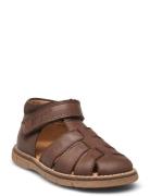 Classic™ Velcro Sandal Brown Pom Pom