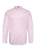 Reg Poplin Gingham O.shield Shirt Pink GANT