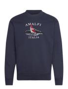 Hco. Guys Sweatshirts Navy Hollister