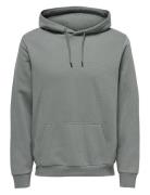 Onsceres Hoodie Sweat Noos Grey ONLY & SONS