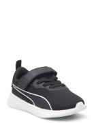 Flyer Flex Ac Inf Black PUMA