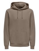 Onsceres Hoodie Sweat Noos Brown ONLY & SONS