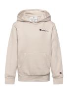 Hooded Sweatshirt Beige Champion