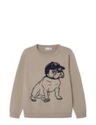 Nkmlebull Ls Knit Beige Name It