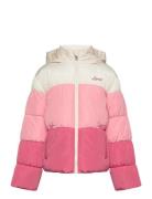 Color Block Puffer / Lvg Color Block Puffer Pink Levi's